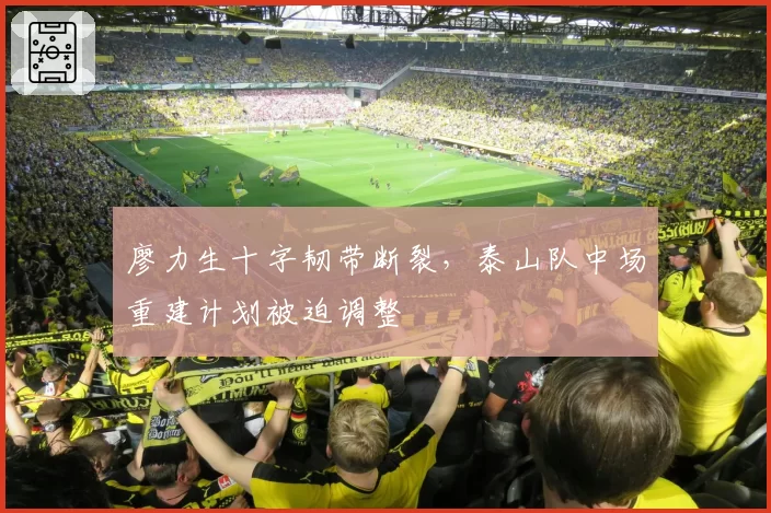 廖力生十字韧带断裂，泰山队中场重建计划被迫调整